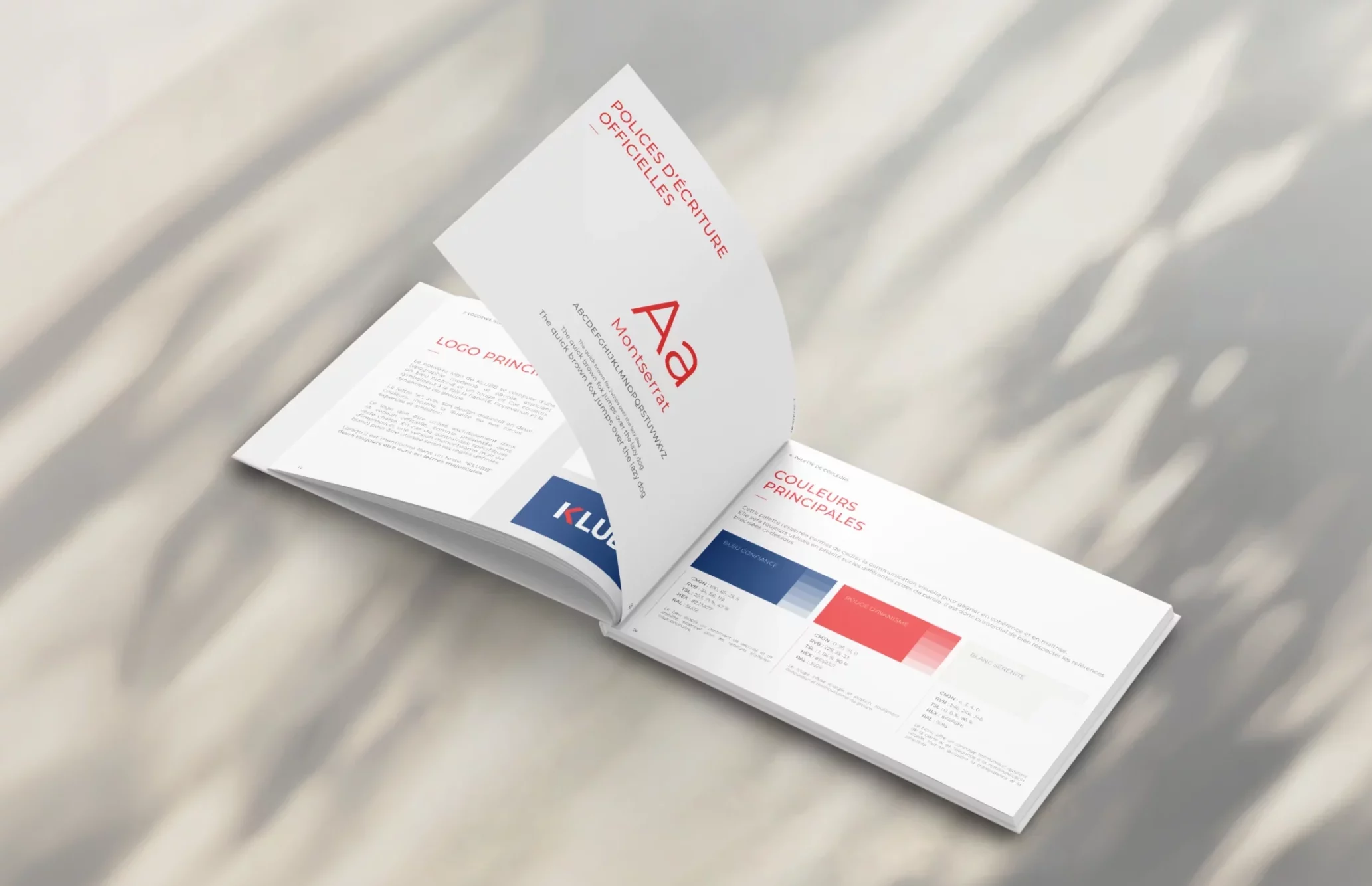 Extrait charte graphique — Rebranding industriel, Studio Nyamh